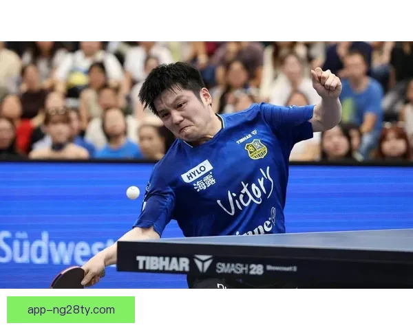 刘国梁谈樊振东赴德甲体育交流